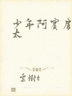 少年阿宾房东太太