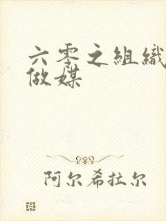 六零之组织给我做媒