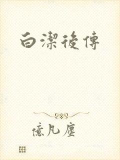 白洁后传封面