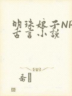 明珠娘子NPC古言小说