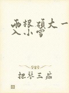 两根硕大一起挤入小雪