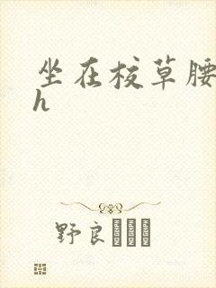 坐在校草腰上动h