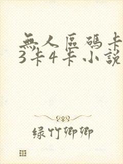 无人区码卡二卡3卡4卡小说