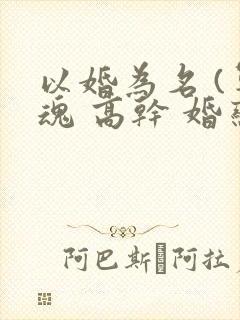 以婚为名 (军魂 高干 婚恋)