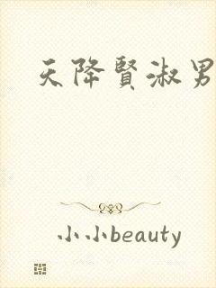 天降贤淑男小说