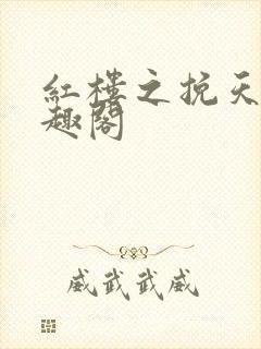 红楼之挽天倾笔趣阁