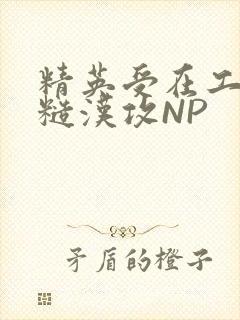 精英受在工地被糙汉攻NP