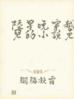 陆星晚穿越成婴儿的小说免费阅读全文