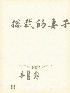 《总裁的妻子》小说封面