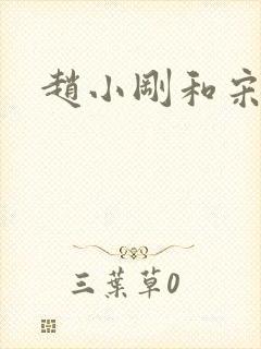 赵小刚和宋雨晴封面