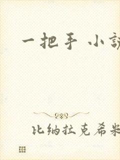 一把手 小说