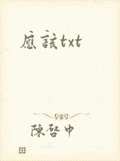 应该txt