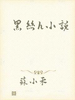 黑丝h小说