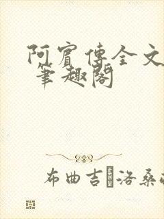阿宾传全文阅读 笔趣阁