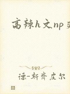 高辣h文np爽
