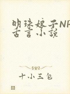 明珠娘子NPC古言小说