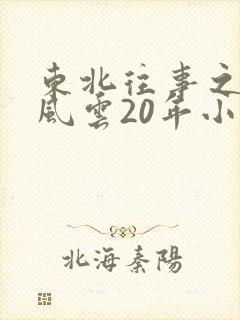 东北往事之黑道风云20年小说