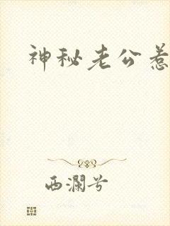 神秘老公惹不起