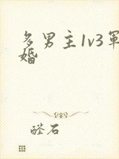 多男主1v3军婚