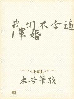 我们不合适1v1军婚封面