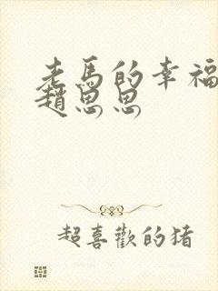 老马的幸福生活赵思思