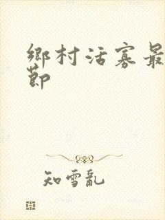 乡村活寡最新章节