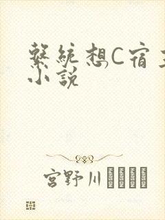 系统想C宿主的小说