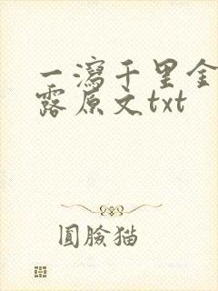 一泻千里金银花露原文txt