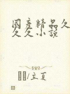 国产精品久久久久久小说