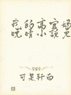 我的高官妈妈苏晚晴小说免费阅读