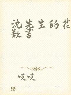 沈先生的花式调数书