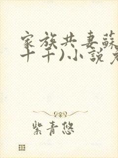 家族共妻苏苏(十千)小说免费