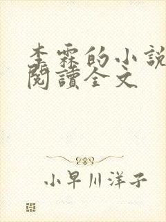 李霖的小说免费阅读全文