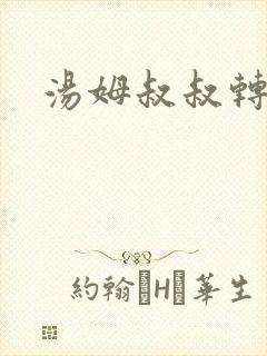 汤姆叔叔转接口