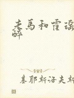 老马和霍瑶瑶喝醉