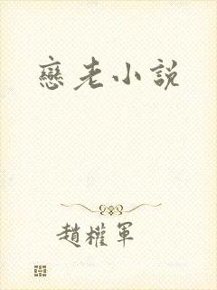 恋老小说