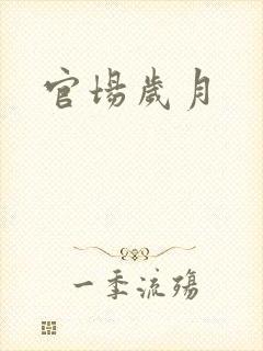 官场岁月