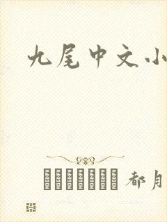 九尾中文小说网