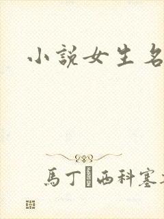 《小说女生名字》小说封面
