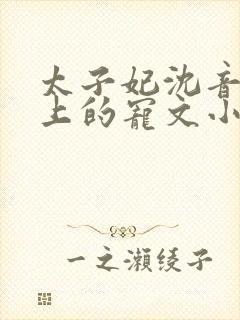 太子妃沈音和皇上的宠文小说