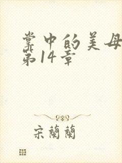 掌中的美母版主第14章