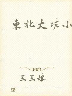 东北大坑小说