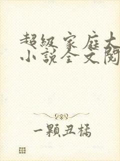 超级家庭大杂烩小说全文阅读