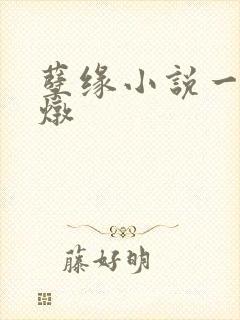 孽缘小说一家乱炖