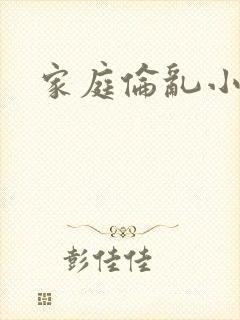 家庭伦乱小说