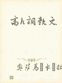高h调教文