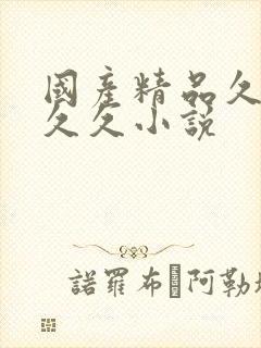 国产精品久久久久久小说