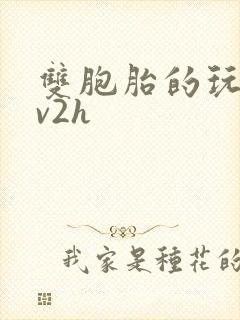 双胞胎的玩具1v2h