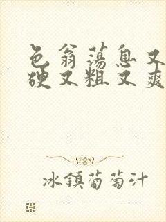 色翁荡息又大又硬又粗又爽