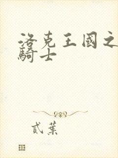 洛克王国之圣龙骑士